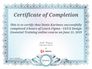 Figma - UI/IX design essential training